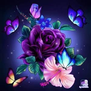 Meet your Posher, Jade